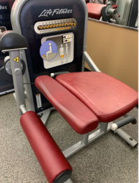 Leg Extension
