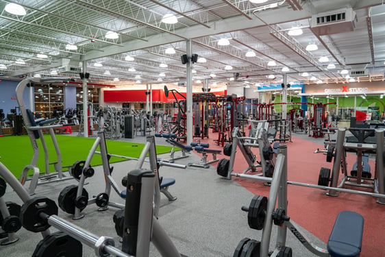 The Edge Fitness Clubs Connecticut: The Best Gyms in CT | Edge Fitness ...