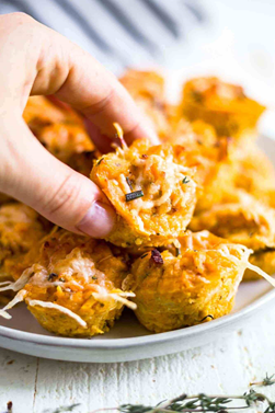 Healthy Holiday Appetizer Ideas