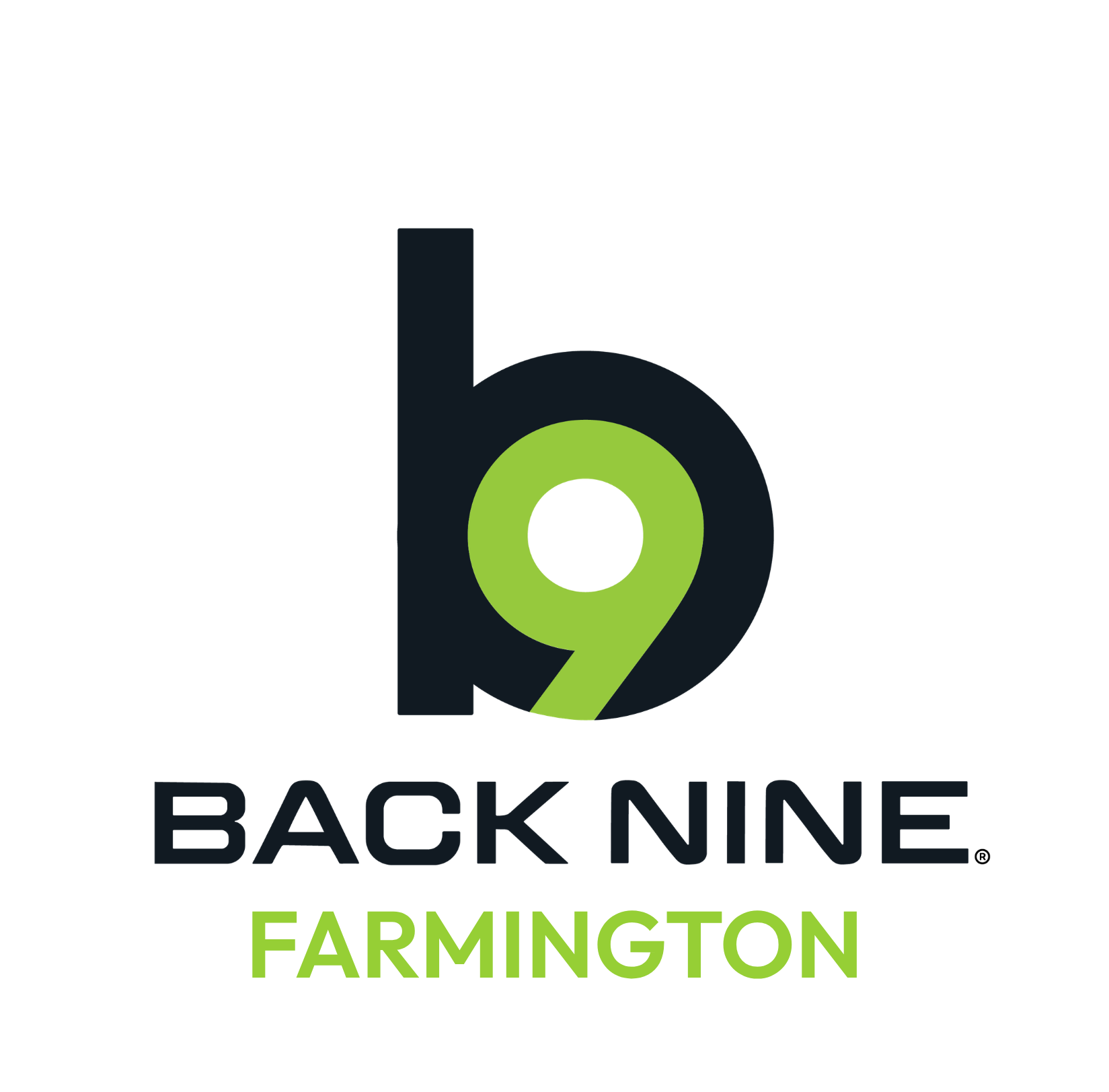 The Back Nine Golf- Farmington logo
