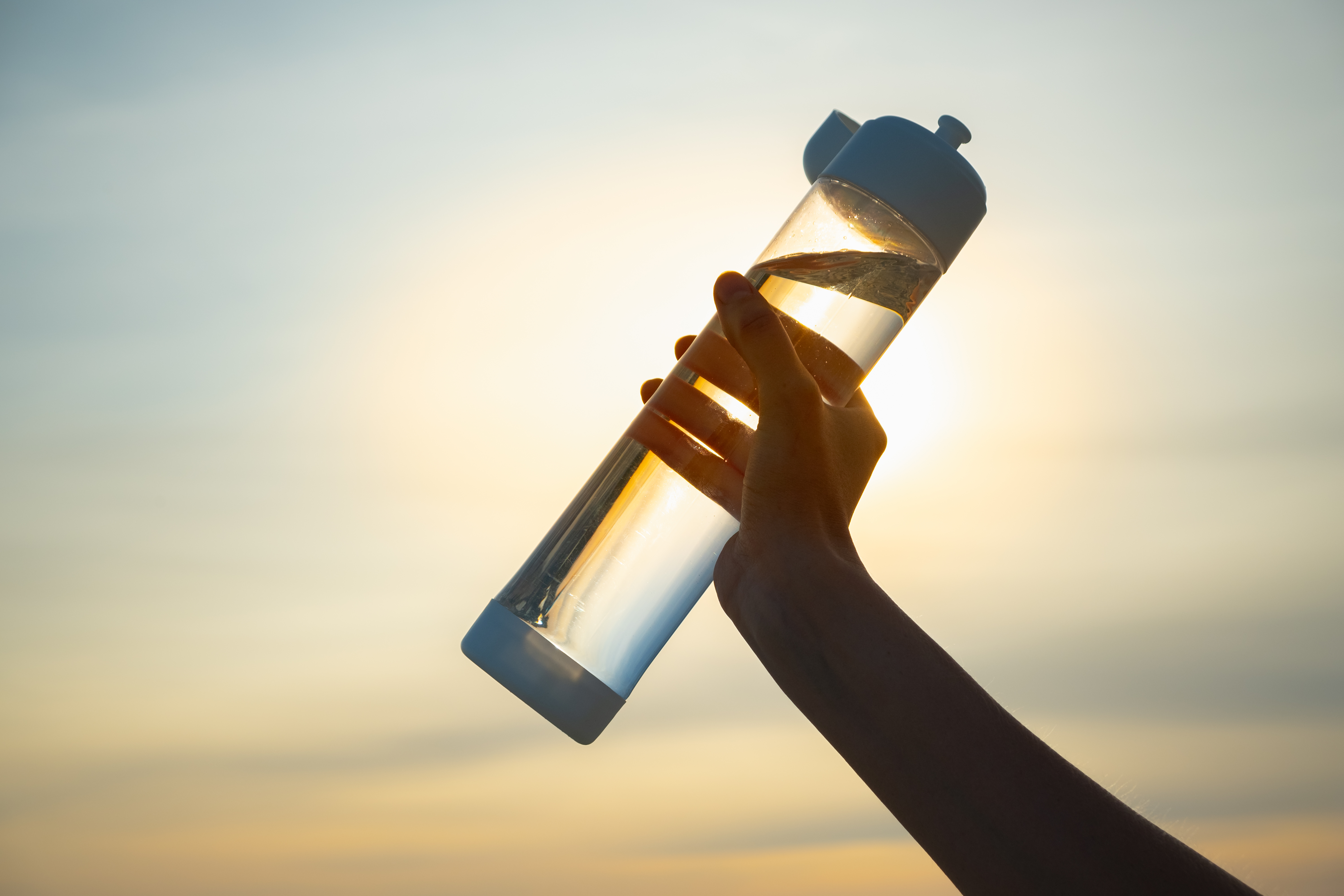 shutterstock_1507710305